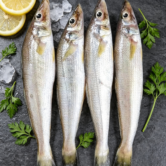 Small Sea Fish