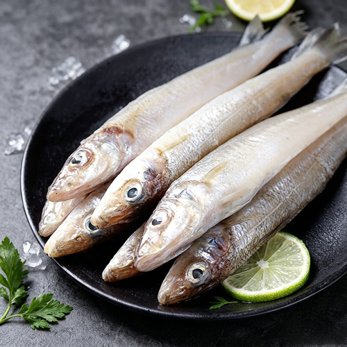 Small Sea Fish